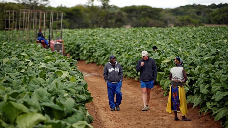 satofsat blog Zimbabwe White farmers can now apply to get seized land back